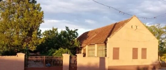 Felnac, casa+teren 1500 mp, front pe 2 strazi, la nici 2 min. de centru.